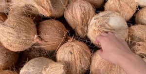 Global Trade Made Easy